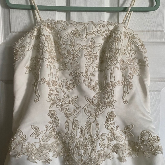 David's Bridal Wedding Dress - Picture 2 of 15